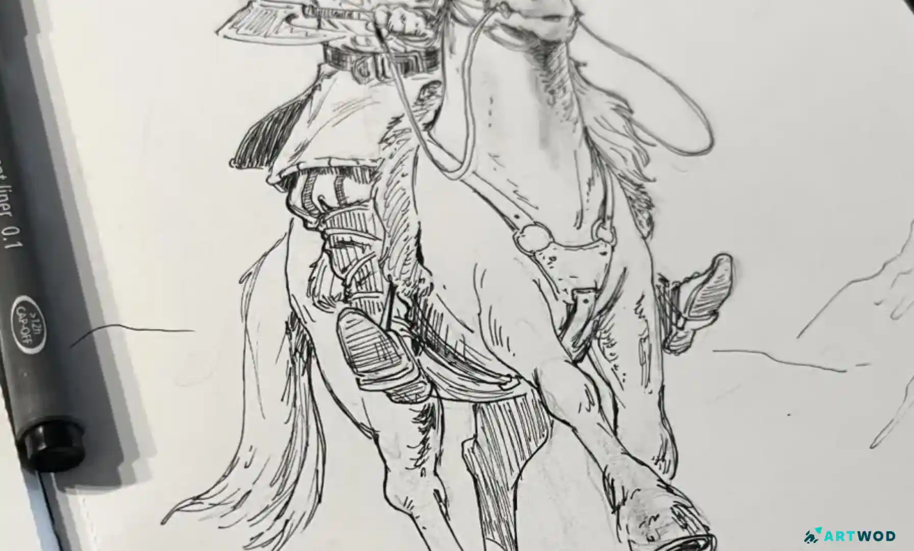 Animal Anatomy Drawing Guide for Artists