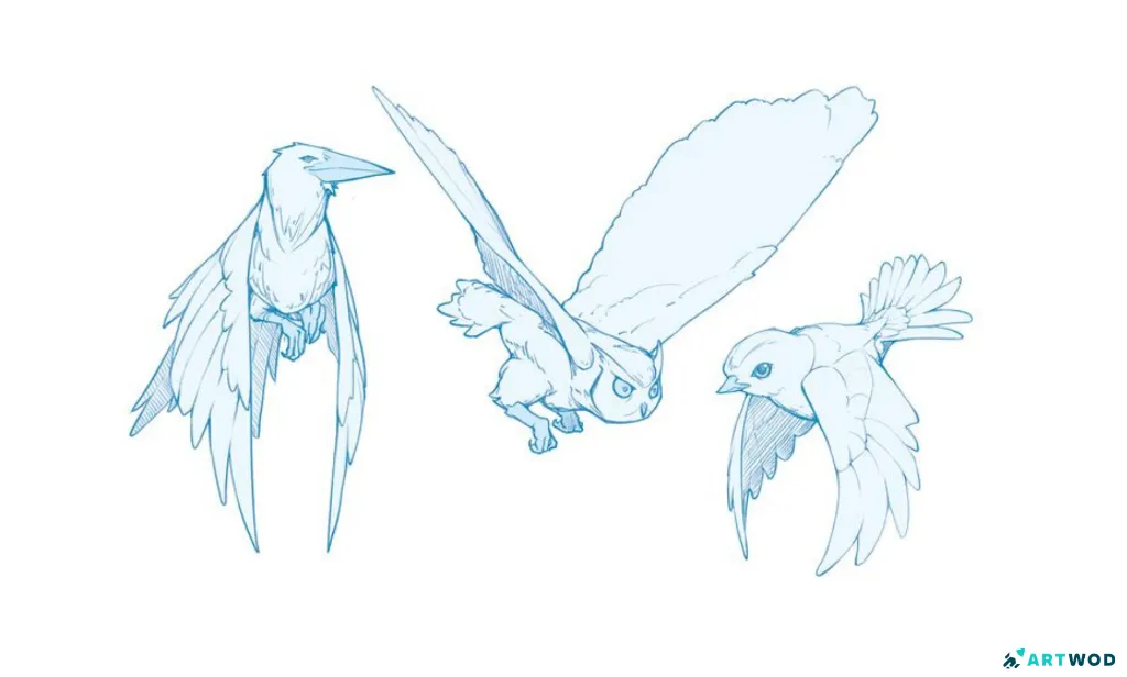 Bird sketches, digital 2d.