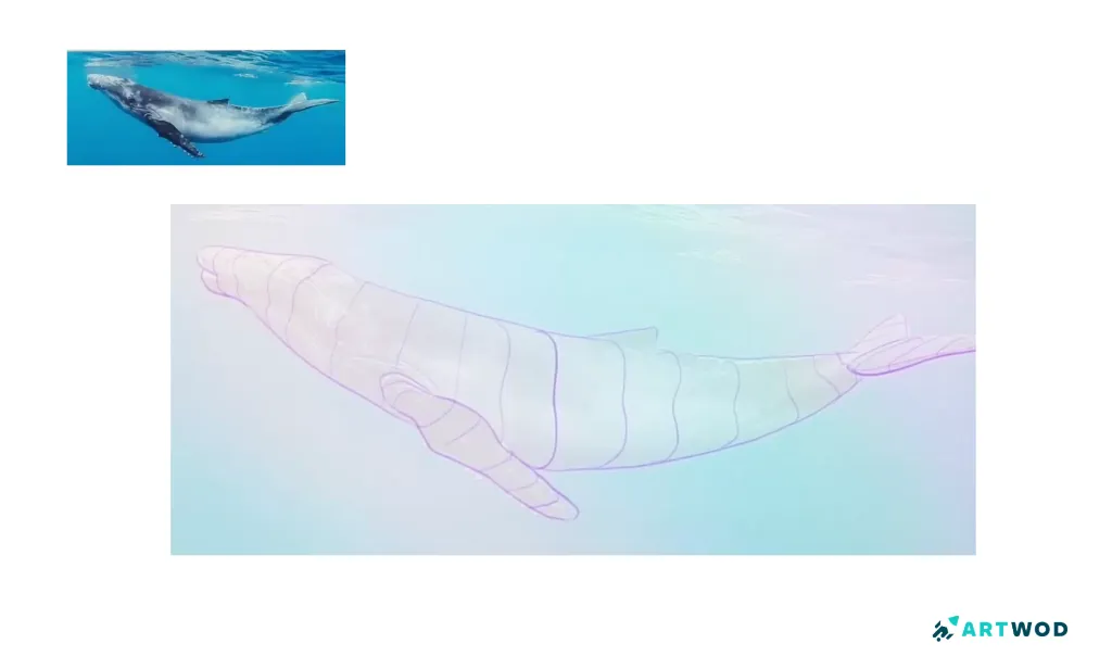Passo 2: Desenhando Baleias: Arte Marinha Realista e Estilizada