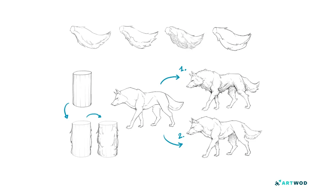 Wolf drawings by Arne Billen, explaining how to draw fur. Fur first is shown on a cylinder and then on wolf drawings. Digital 2d drawing.