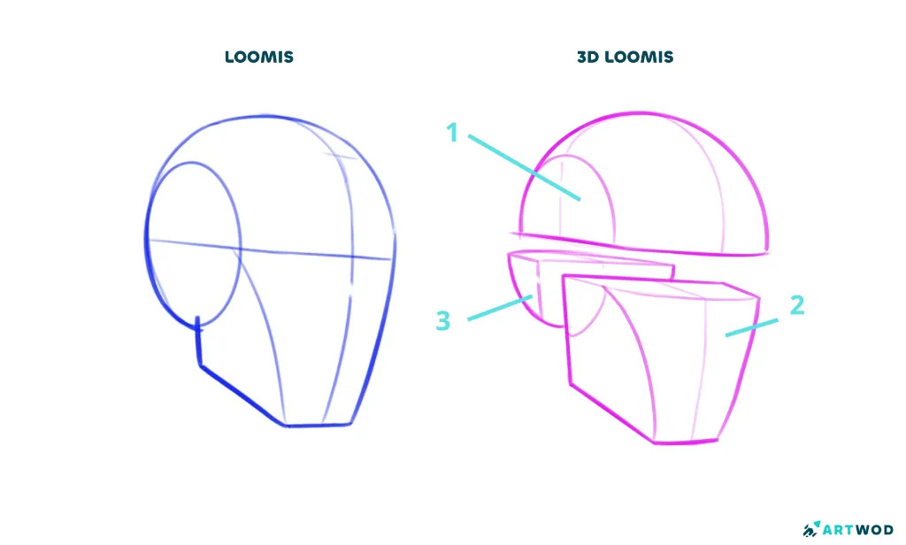 Loomis vs 3D Loomis. Loomis head drawn in blue pencil, 3D loomis in pink pencil, digital 2d art