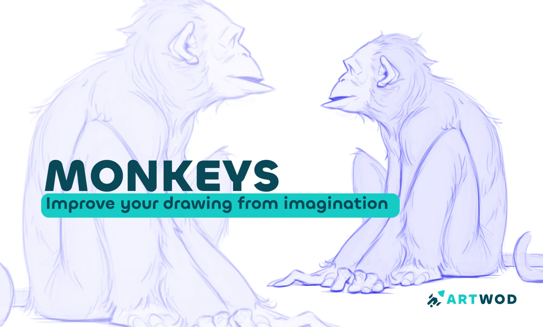 Como Desenhar Macacos para Iniciantes: Guia de 15 Minutos