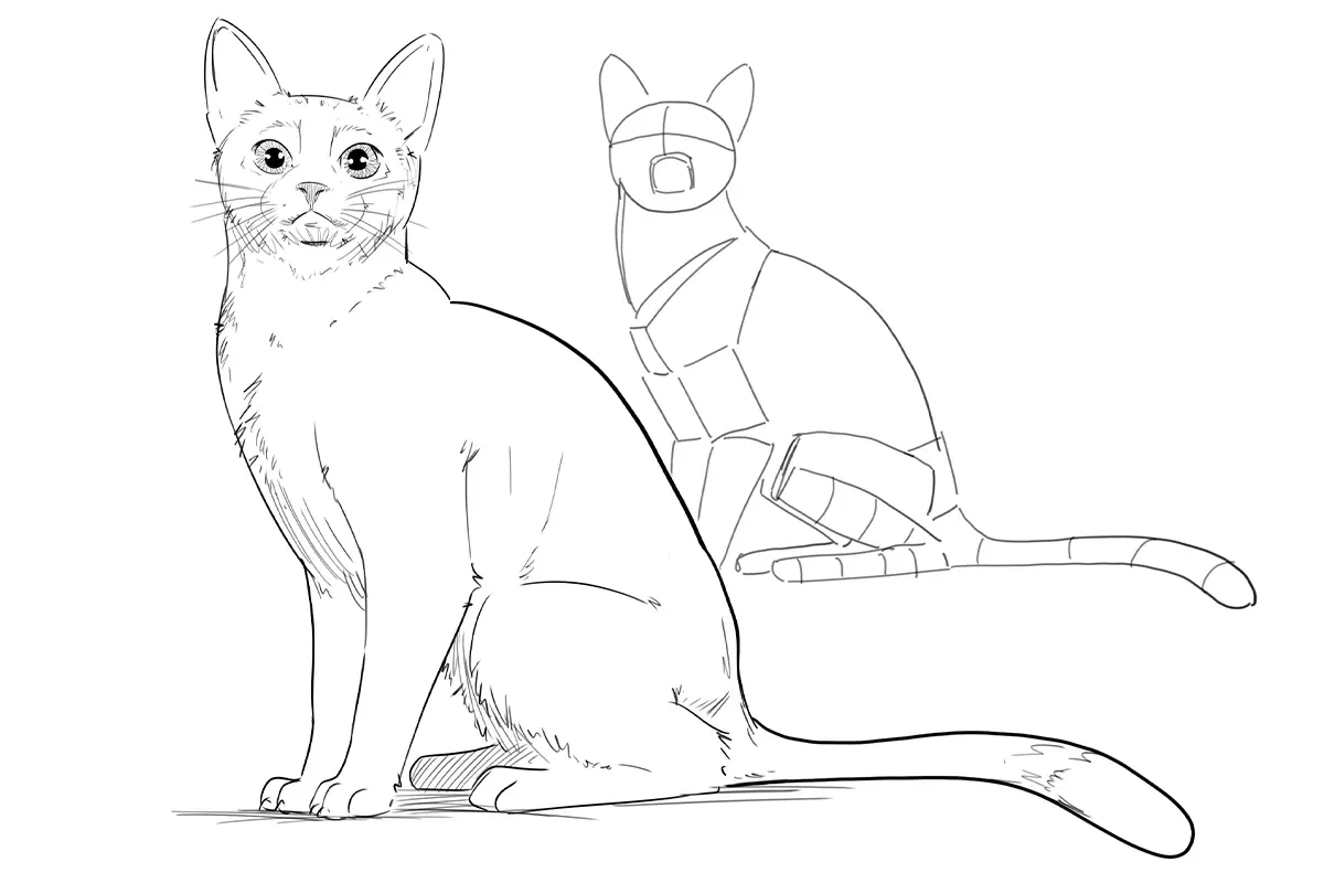 Como Desenhar Gatos: Um Guia Passo a Passo para Iniciantes
