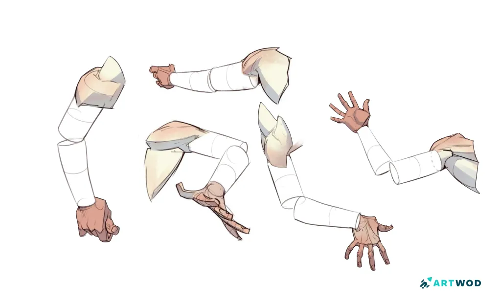 Step 5: Drawing Arms: Anatomy and Stylisation Techniques