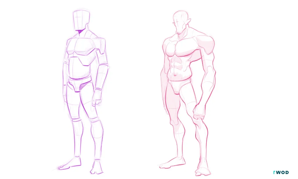 2 drawings digital 2d: on the left a mannequin in purple pencil, on the right a human body, stylyzed, with correct anatomy, drawn with pink pencil