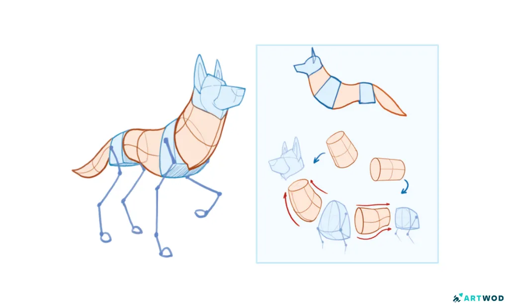 Wolf mannequin breakdown by Arne Billen. More info available in our Wolf Road