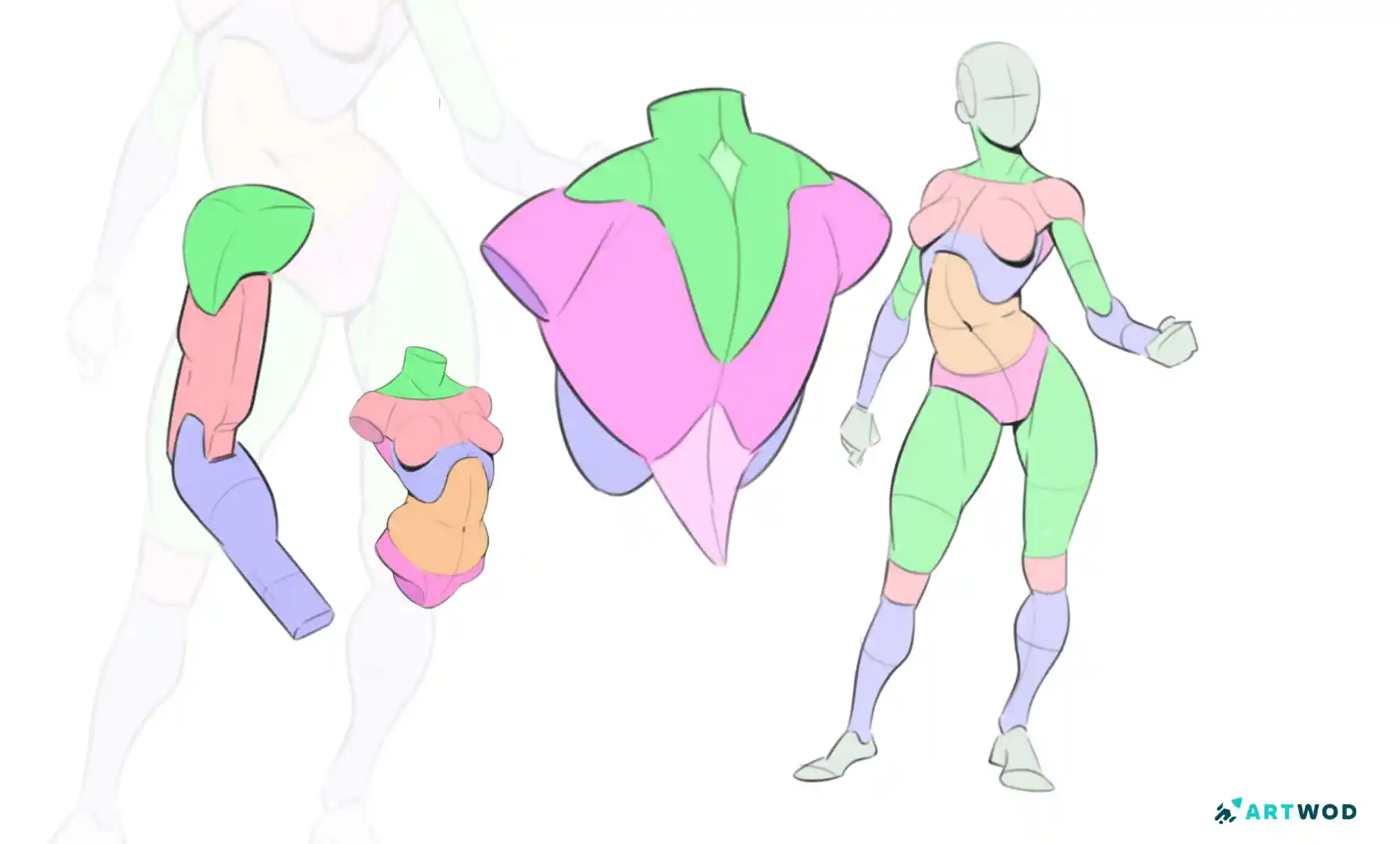 How to Practice Anatomy Drawing Without Getting Overwhelmed