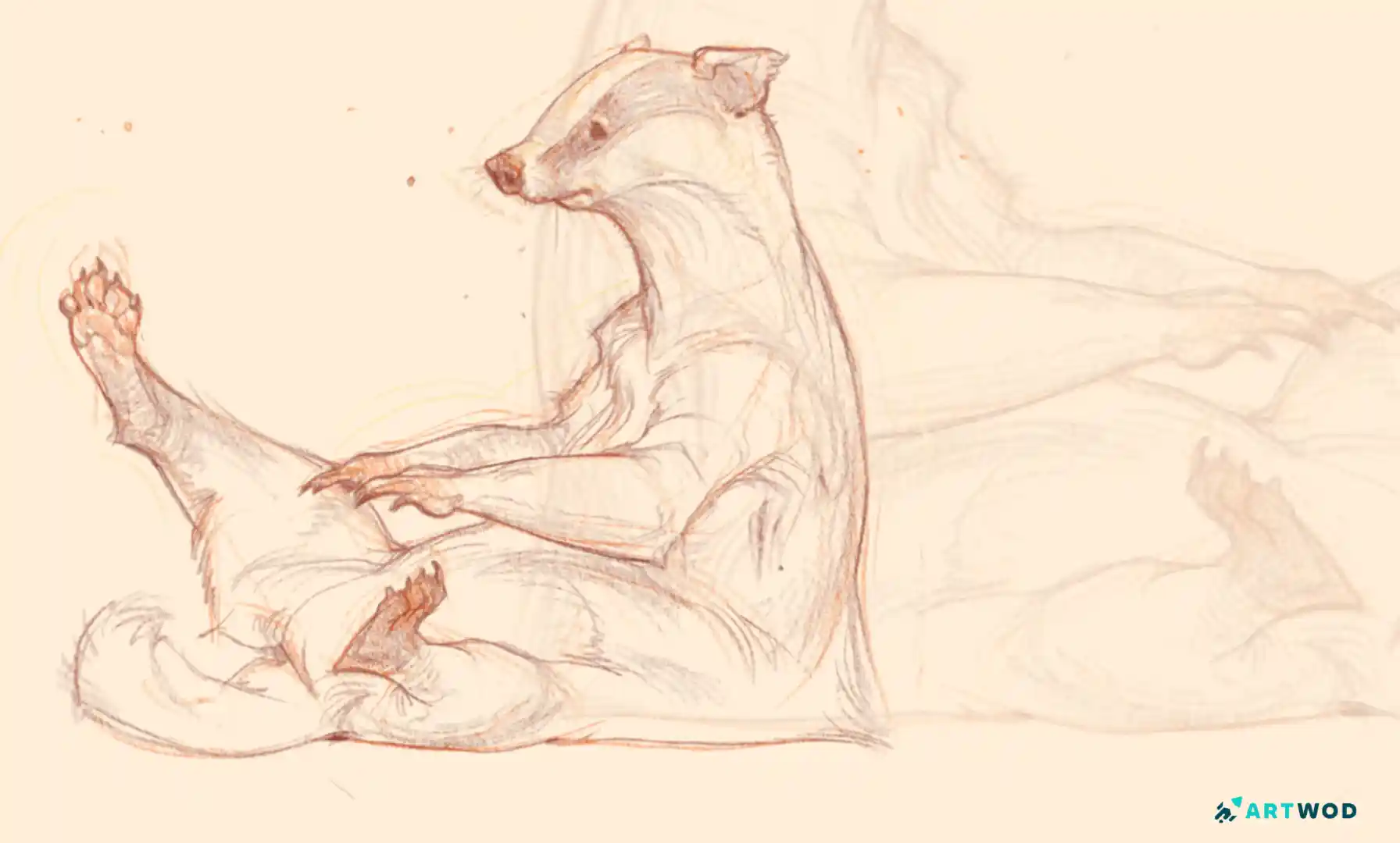 Animal Drawing Mistakes Artists Make and How to Fix Them