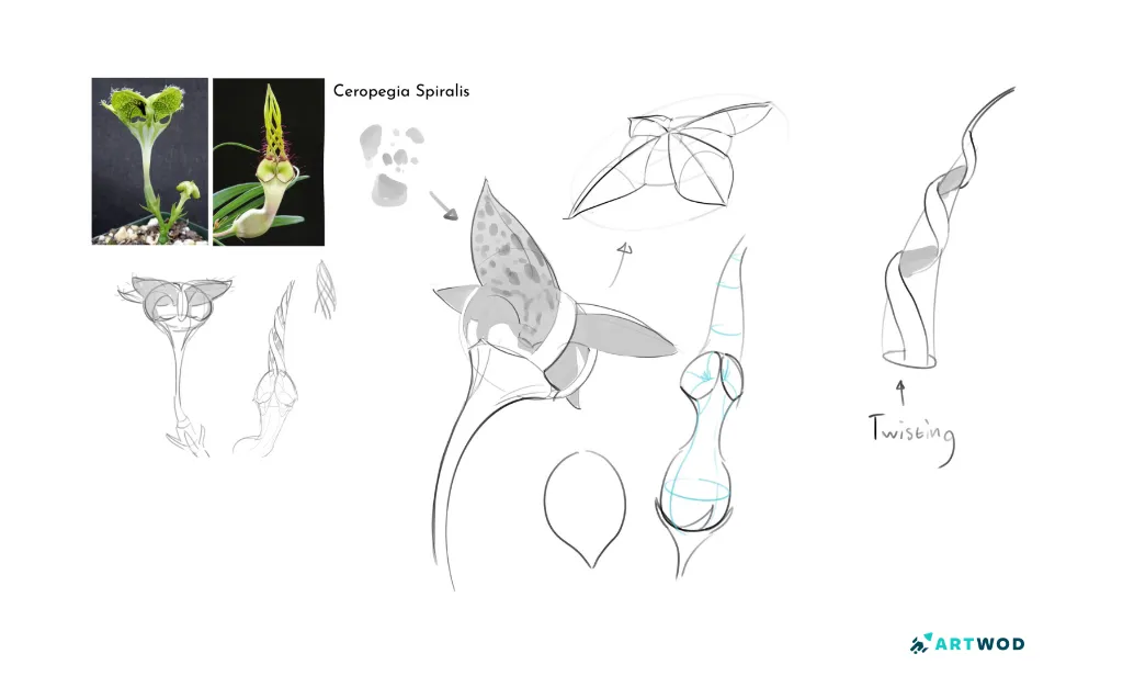 Step 2:&nbsp;Plant Creature Design: Nature Meets Fantasy in Concept Art