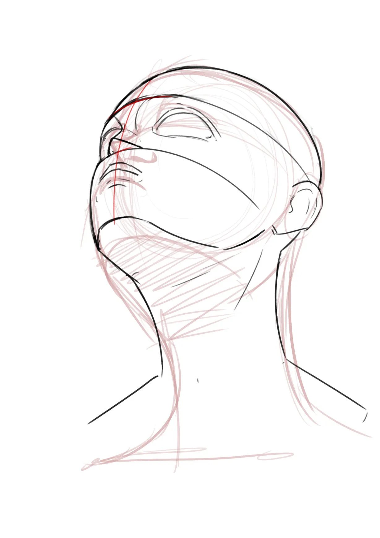 I need a step by step understanding in anime faces