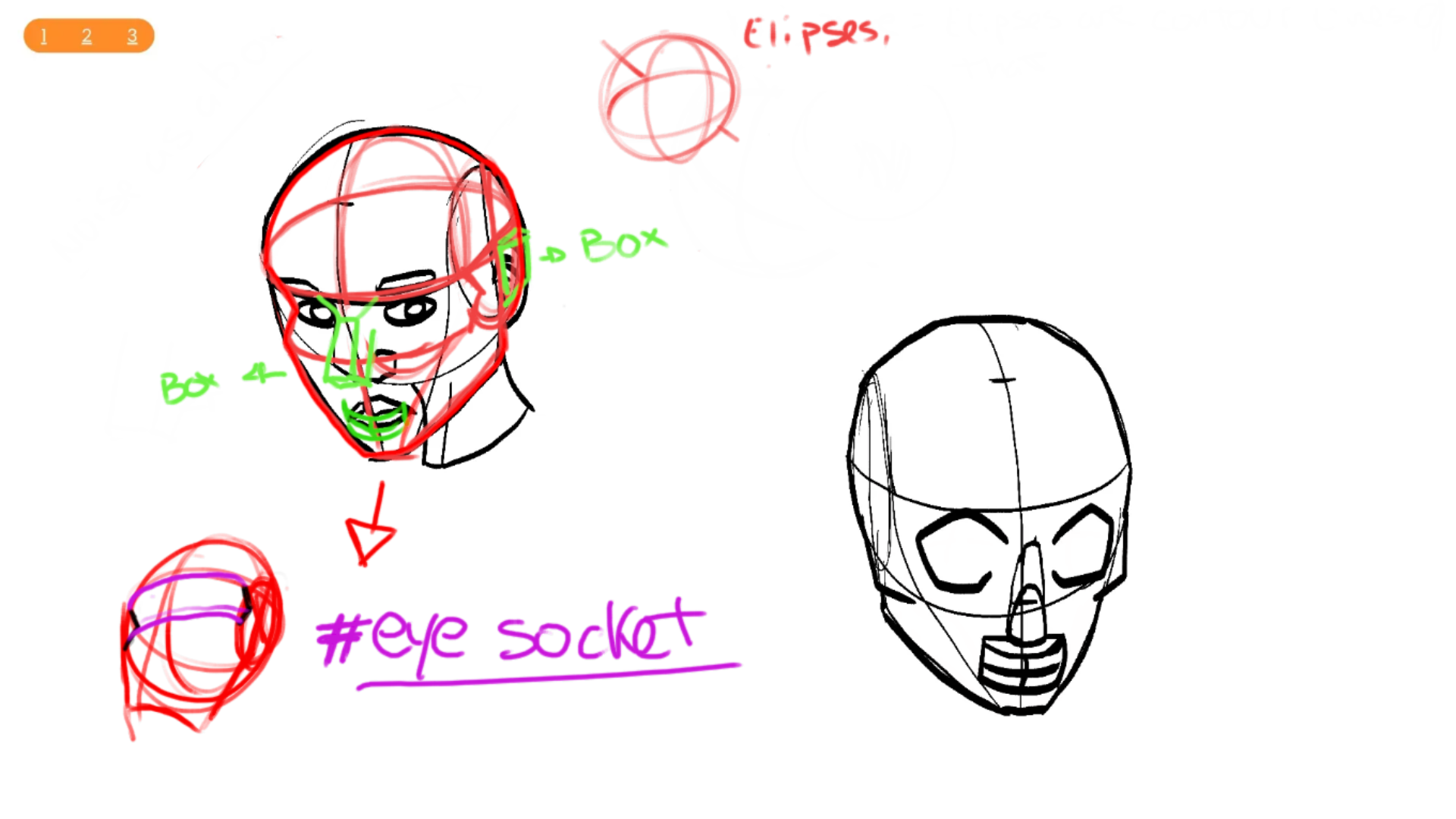 Basic Portrait Anatomy Workout