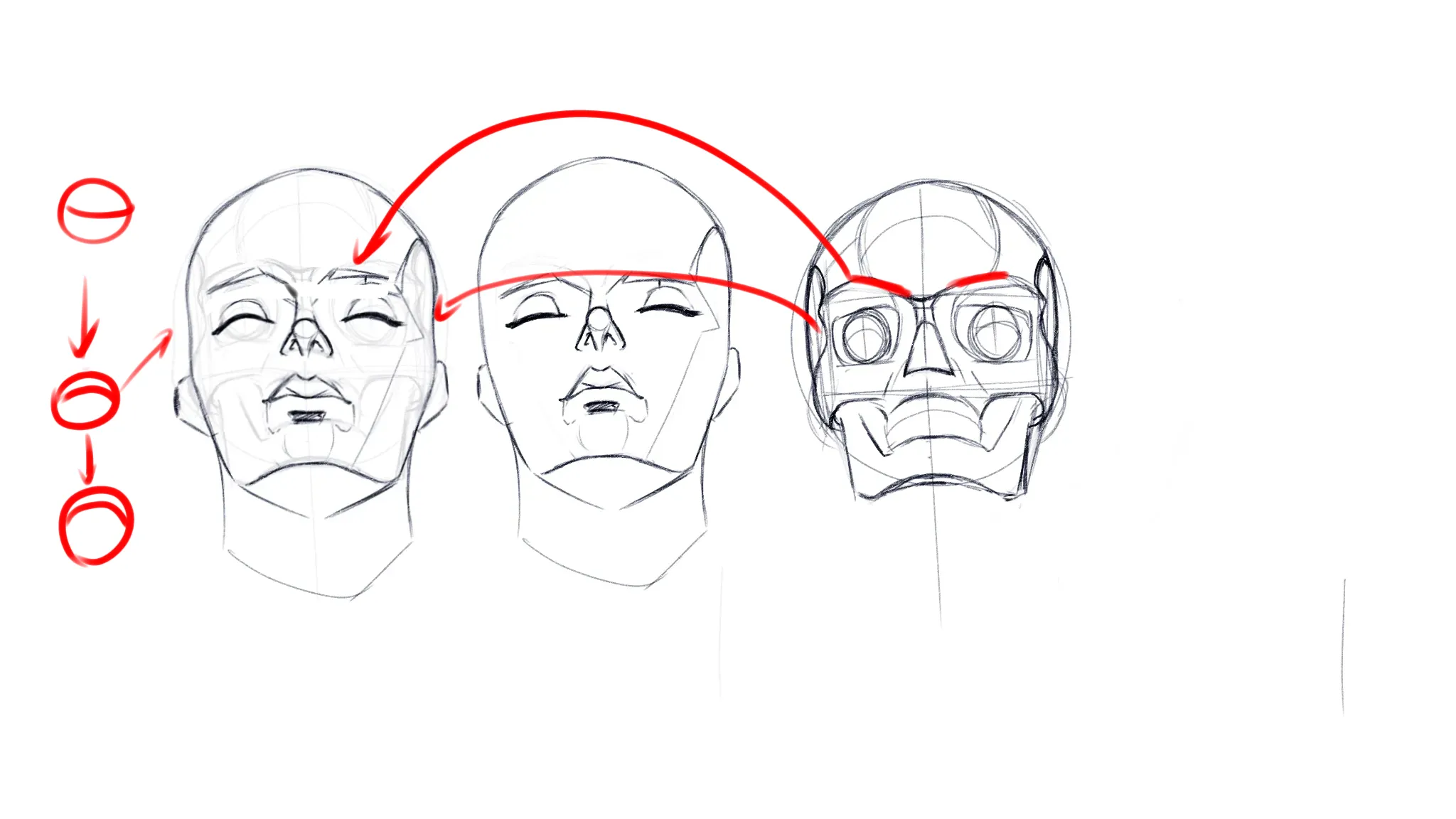 Face drawing practice