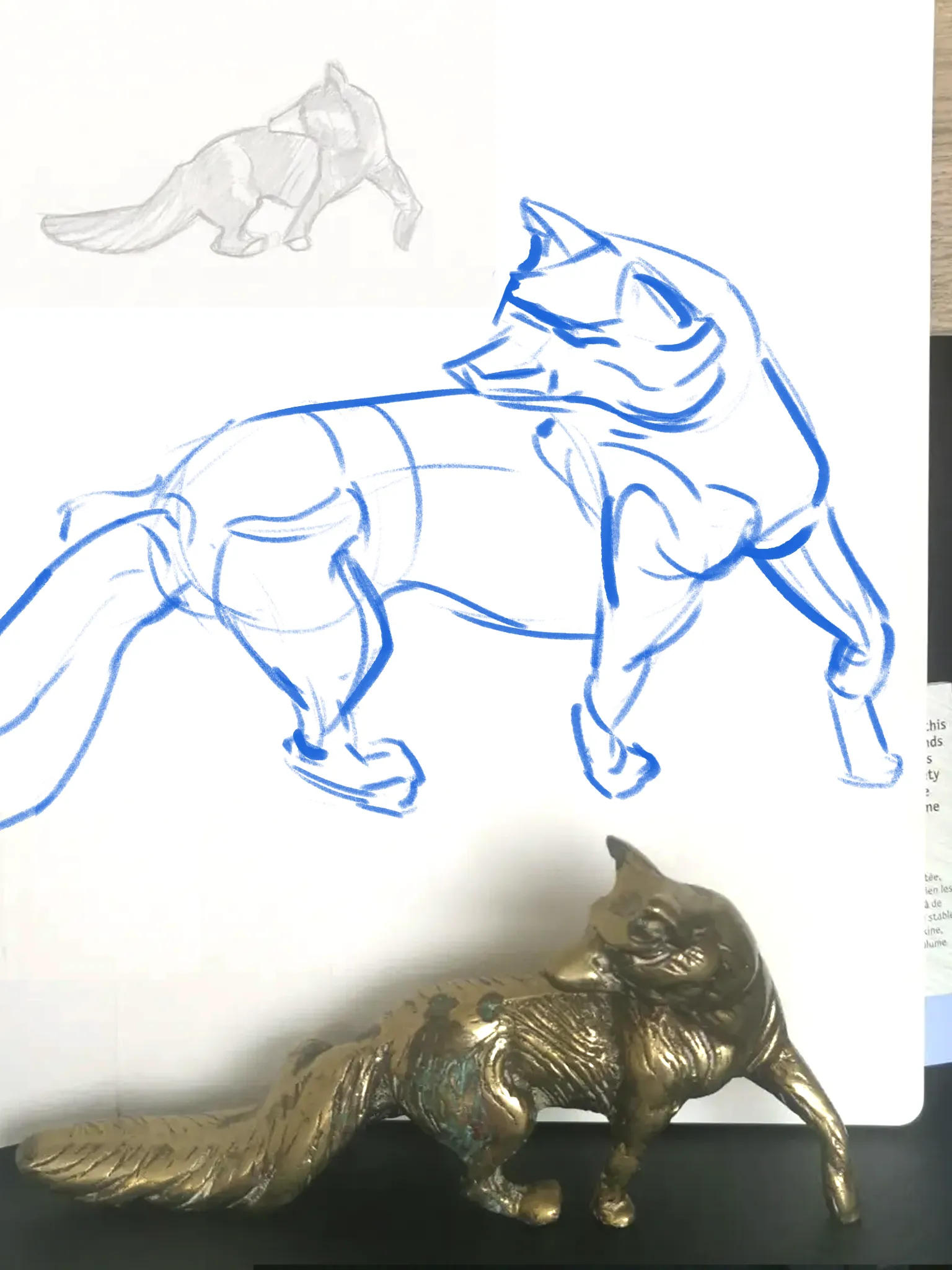 Bronze fox