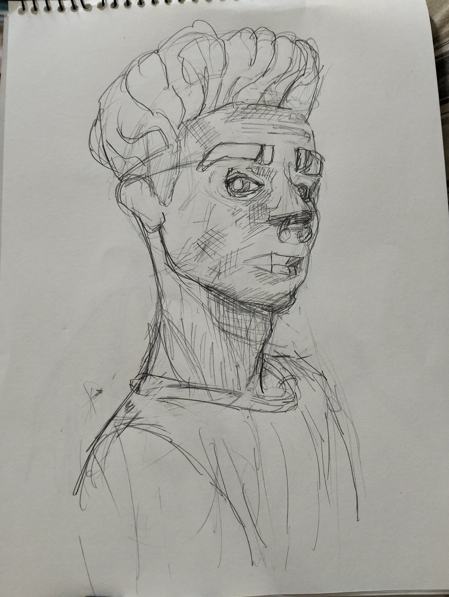 Portraits