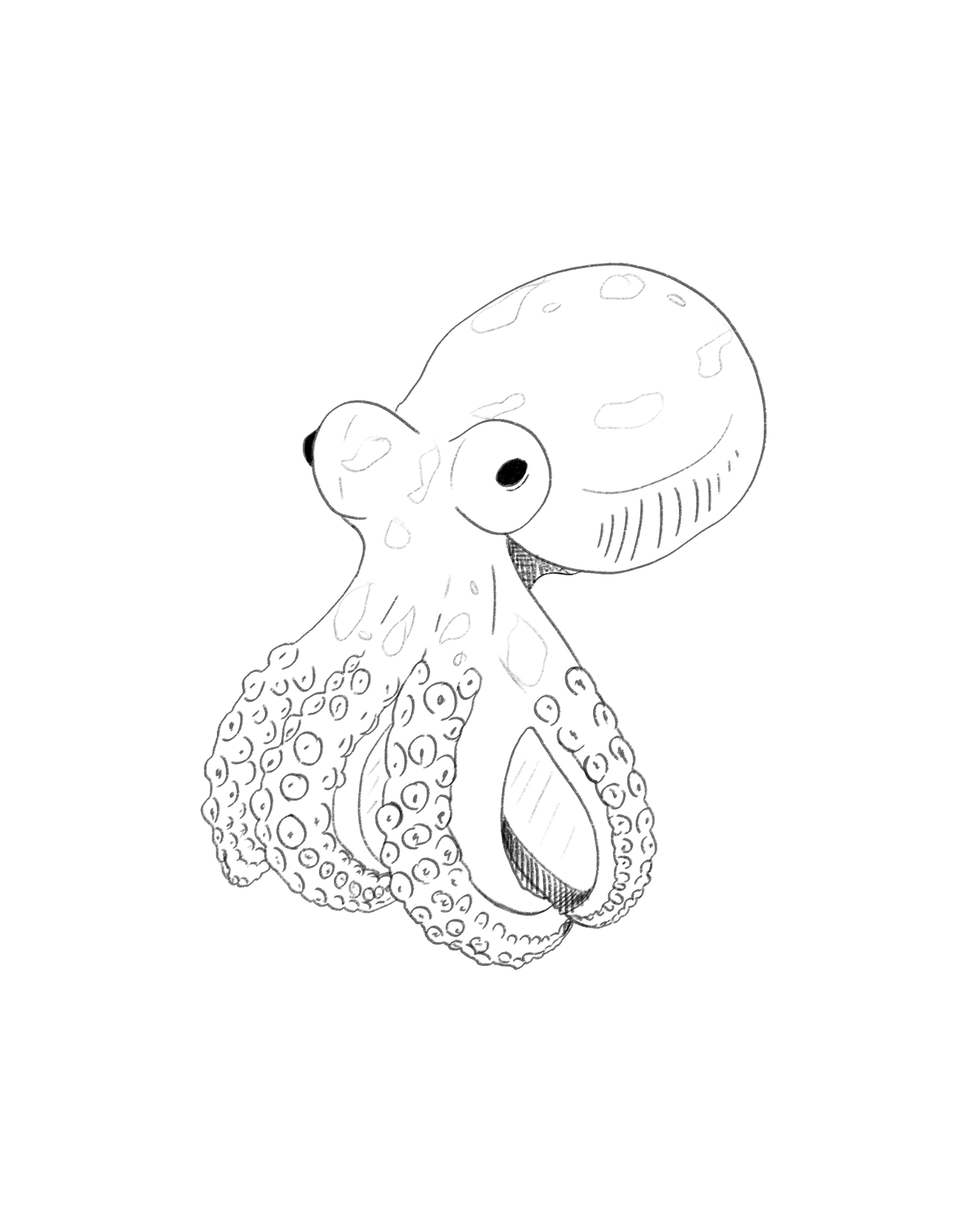 Sketch of octopus