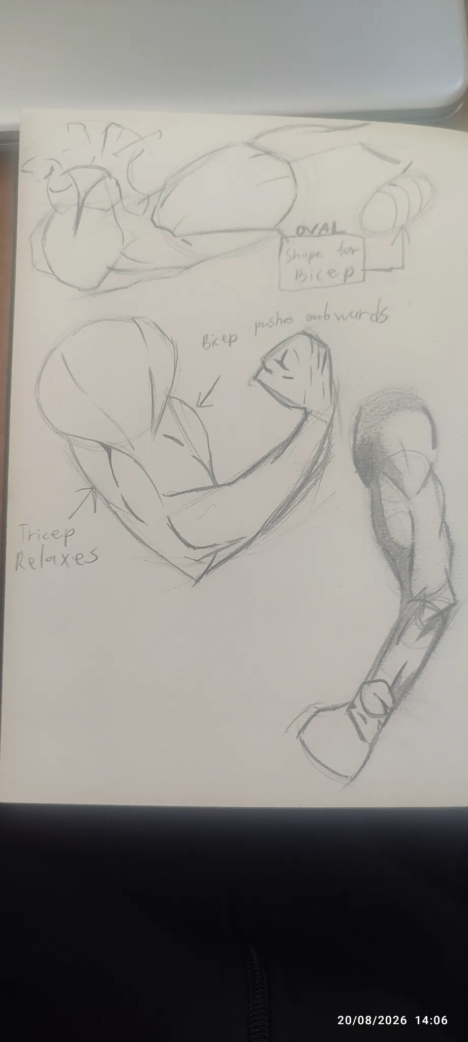 Arm study