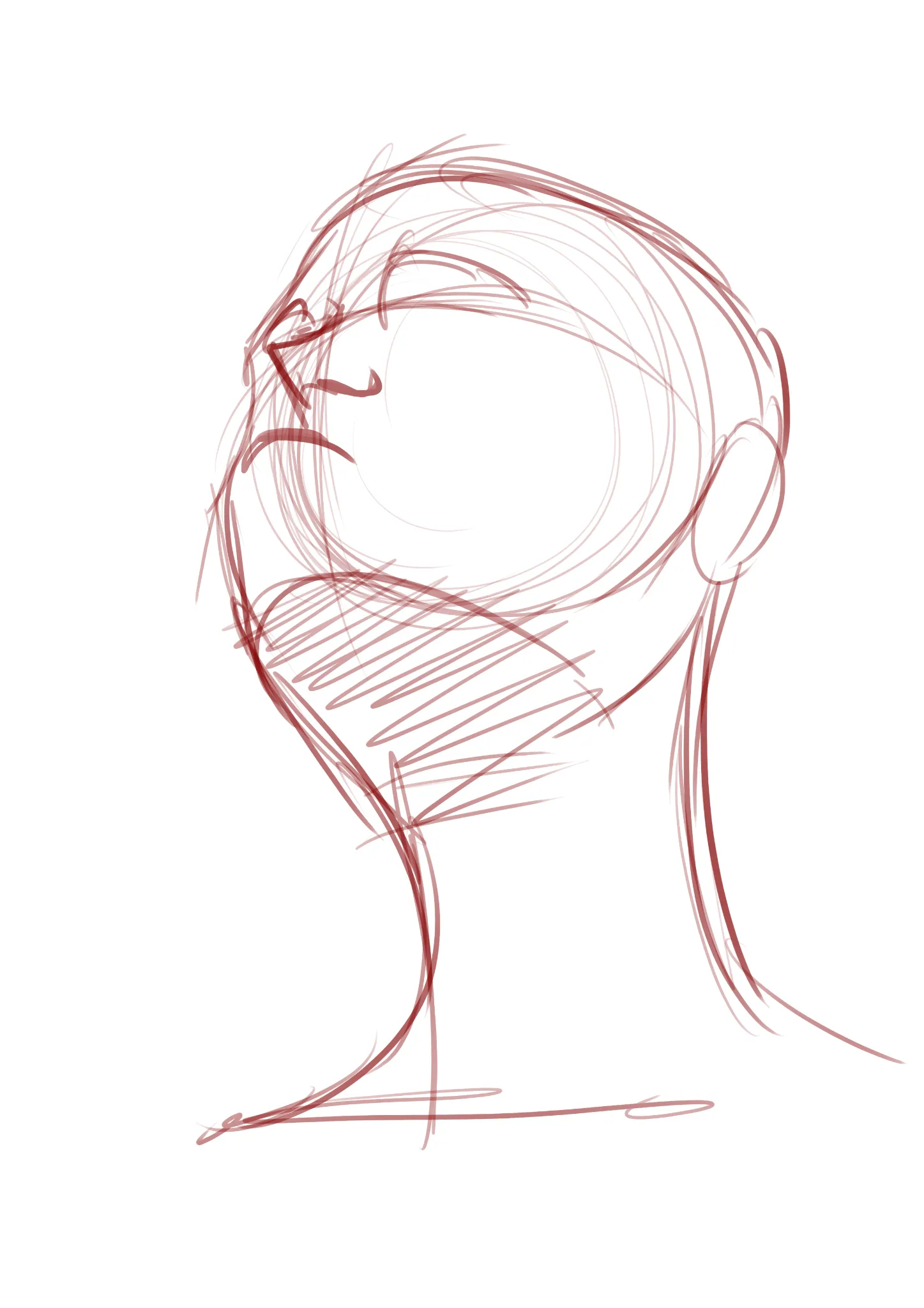 I need a step by step understanding in anime faces